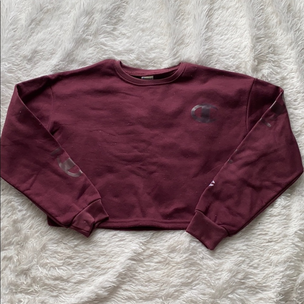 Champion long sleeve crop top